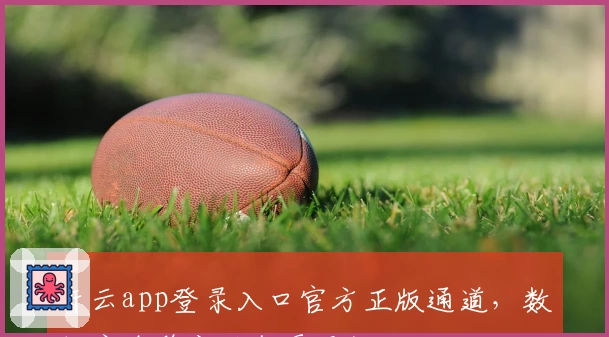 开云app登录入口官方正版通道，数据安全稳定运行更无忧