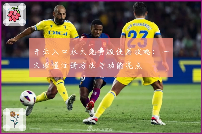 开云入口永久免费版使用攻略：一文读懂注册方法与功能亮点